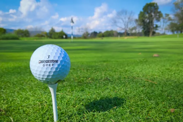 Working Partnerships Golf Event
