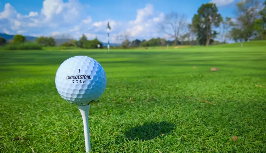 Working Partnerships Golf Event 